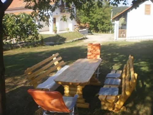 Guest House Family Dukic Rakovica Extérieur photo